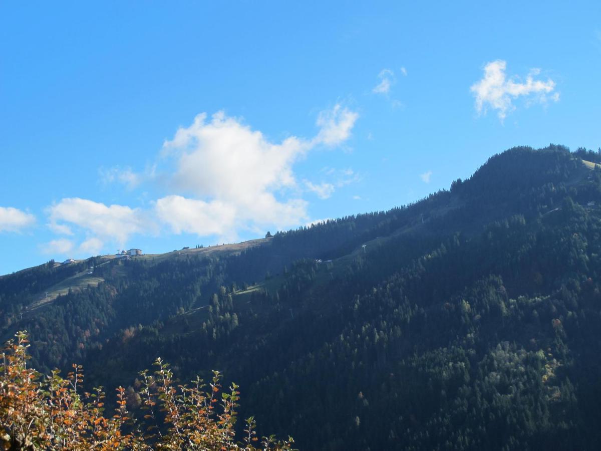Leitnerhof Villa Niederau Dış mekan fotoğraf