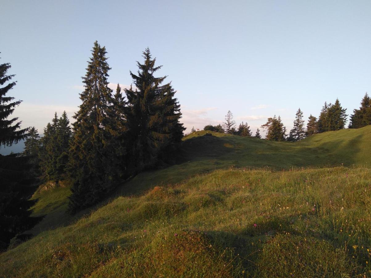 Leitnerhof Villa Niederau Dış mekan fotoğraf