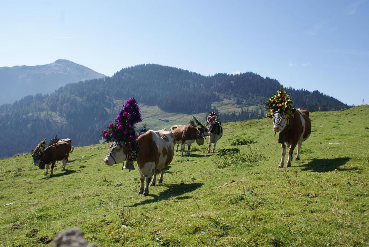 Leitnerhof Villa Niederau Dış mekan fotoğraf